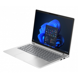 HP ProBook 440 14 inch G11 Notebook (9Y7C0ET)