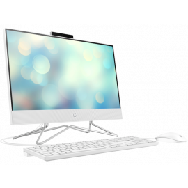HP All-in-One 22-dd2000nh Bundle PC (6V334EA)